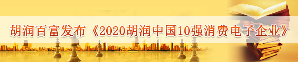 胡润百富发布《2020胡润中国10强消费电子企业》