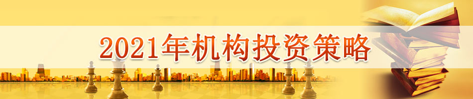 2021年机构投资策略