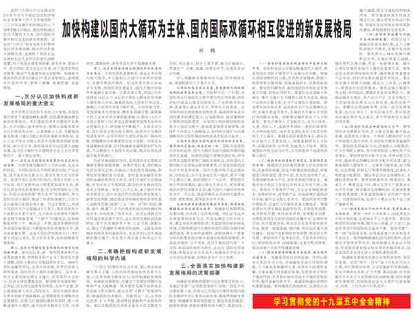 重!刘禾5000字长的文字信息量巨大。详细说明“双循环”的新发展模式!看前十点