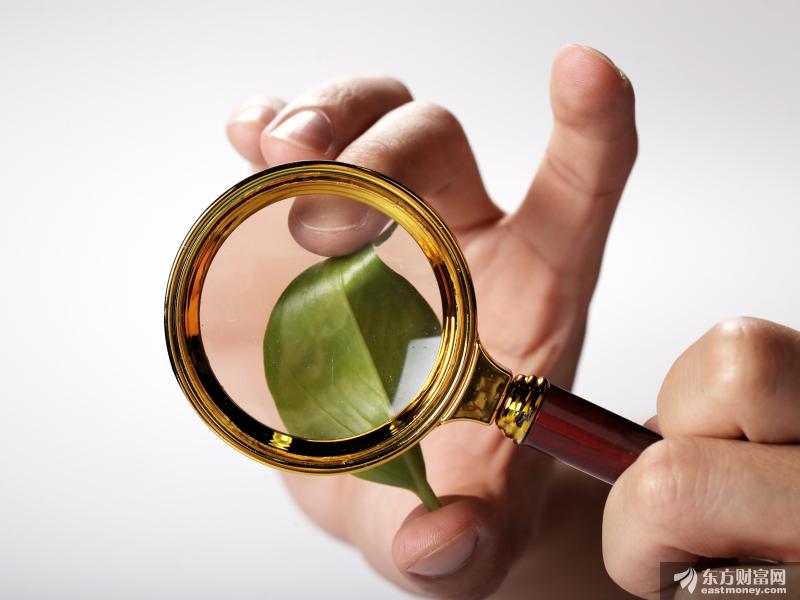 12只个股被社保与QFII连续持仓