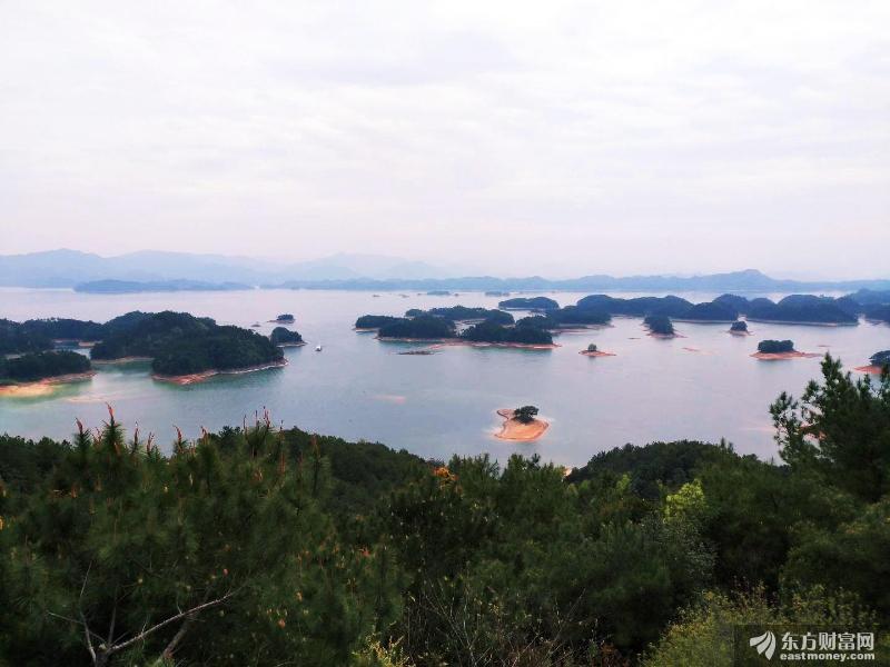 日本“钻石公主”号邮轮预计19日结束隔离 已有70人确诊