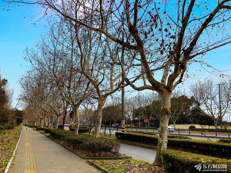 A股这些板块掀起了涨停潮