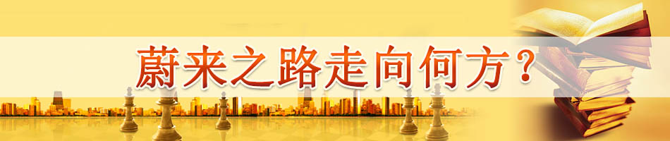 蔚来之路走向何方？