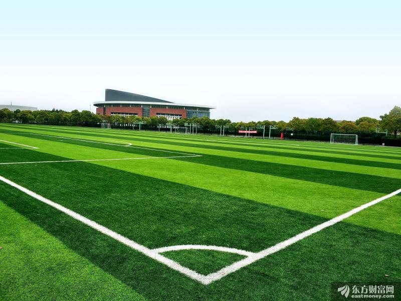 意大利成欧洲新冠疫情最严重国家