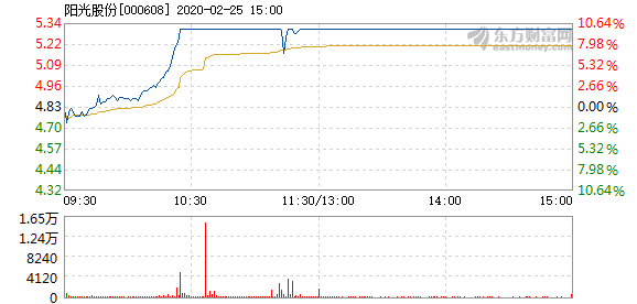阳光股份有限公司 20200225160628929303583.png