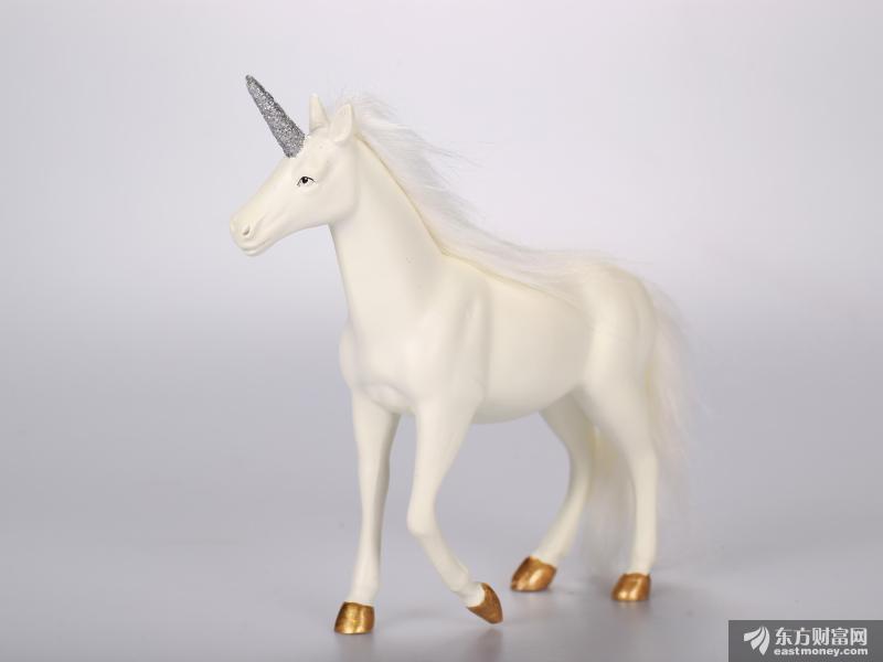 震荡市中不知道该买啥？来看看社保基金抱团屯了哪些股票