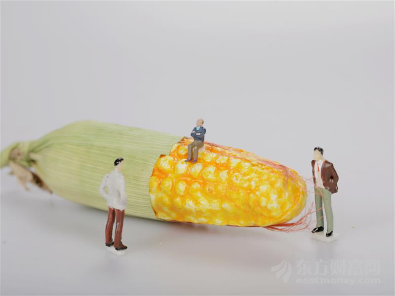 农业农村部四句话谈今年夏粮情况