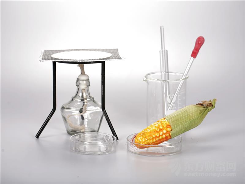 越南临时性暂停大米出口