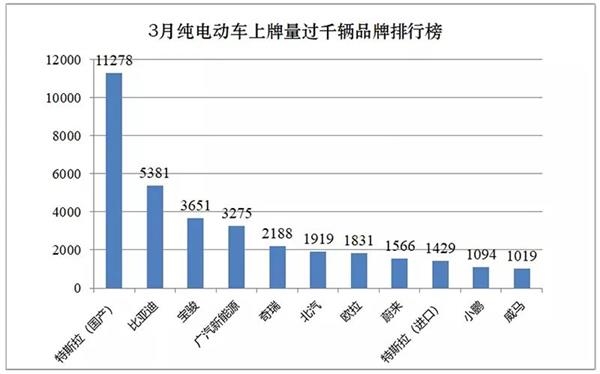 一季度国产特斯拉销量占中国新能源车市场近两成