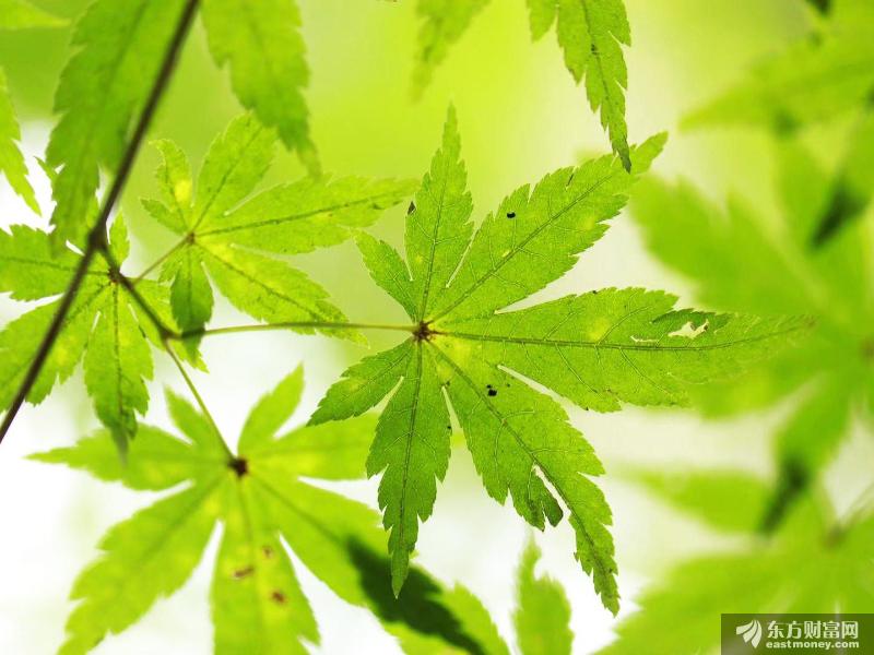 这些细分领域市场有望进一步打开