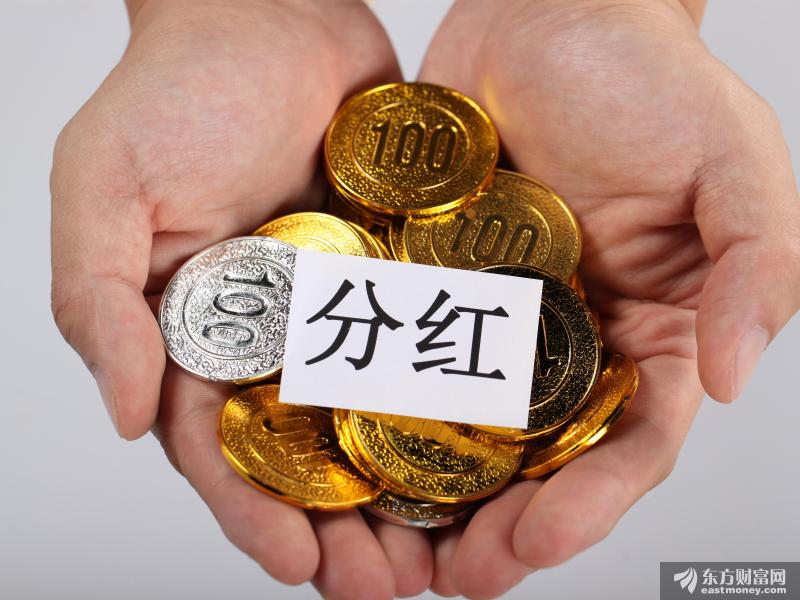 这些公司分红才叫“豪横”！
