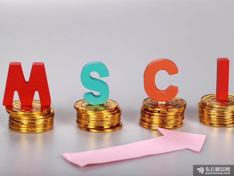MSCI公布半年度指数审议结果