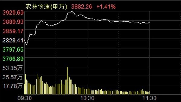 年内涨幅已近20% 这一板块为何逆势大爆发?