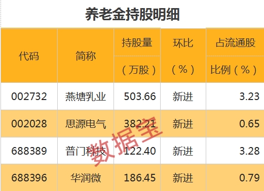 国家队重仓股曝光!社保、养老金同时盯上两股 包括一只半导体龙头股
