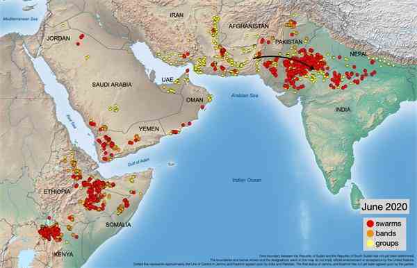 平顶山市2020年6月末_平顶山市地图(3)