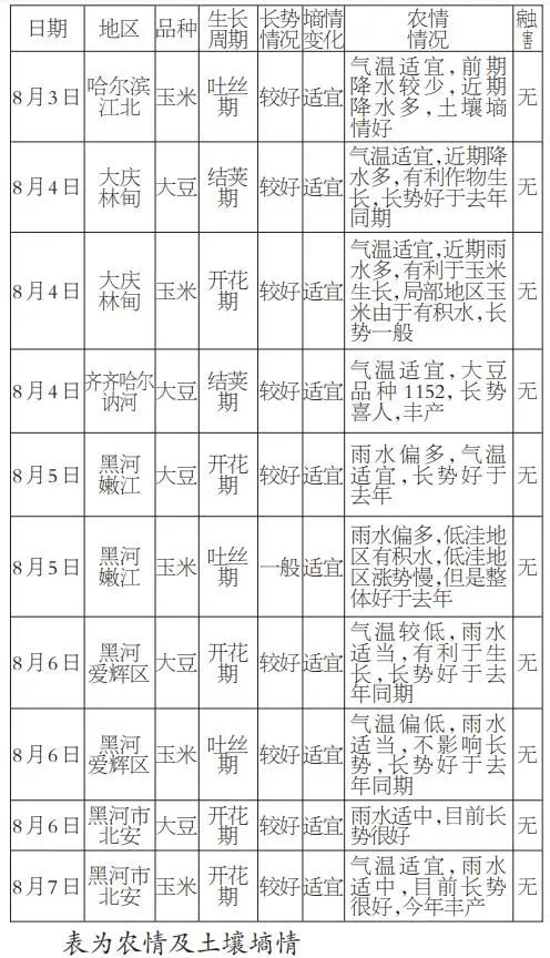 一线调研日志:2020年黑龙江大豆、玉米长势较好 一线调研日志:2020年黑龙江大豆、玉米长势较好