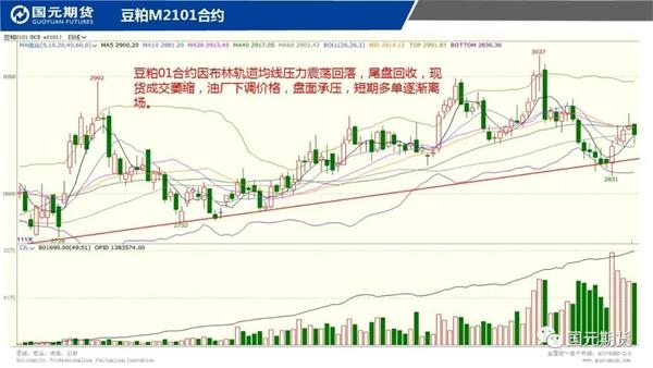 机构论市:铜价强势上升关注53000一线表现 机构论市:铜价强势上升关注53000一线表现
