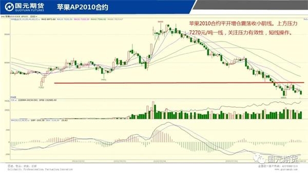 机构论市:铜价震荡回落短期关注53000关口 机构论市:铜价震荡回落短期关注53000关口
