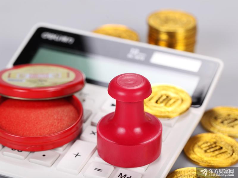 经济学家樊纲：特区还特不特 怎么特？