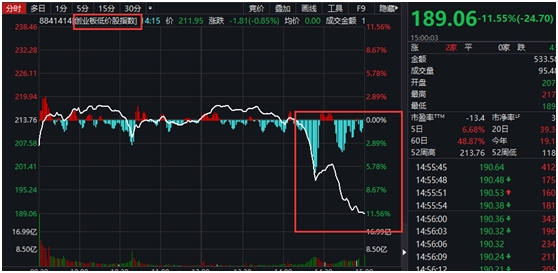 1小时暴跌11%!创业板低价股集体下挫 更有新股“破发” 后市会怎么走?