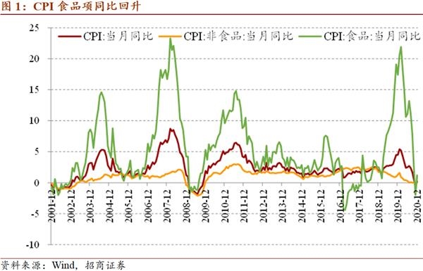 招商宏：CPI的短期反弹和PPI的加速-2020年12月价格指数分析月度报告_东方财富