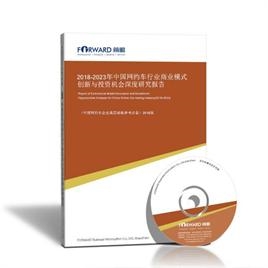 2020-2025年中国网约车行业商业模式创新与投资机会深度研究报告