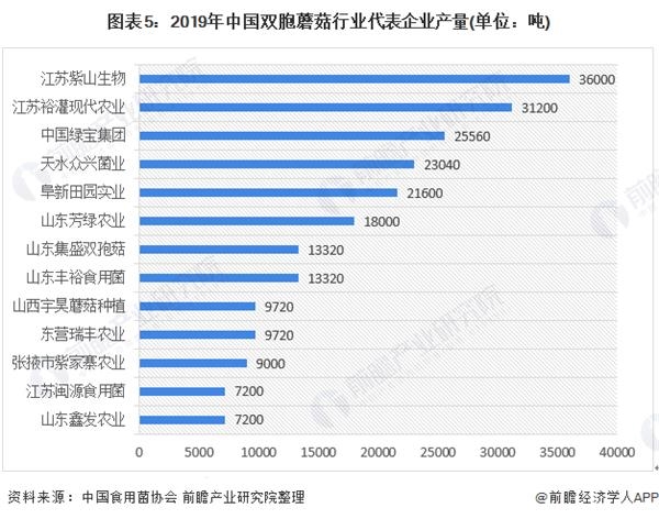 图表5:2019年中国双胞蘑菇行业代表企业产量(单位：吨)