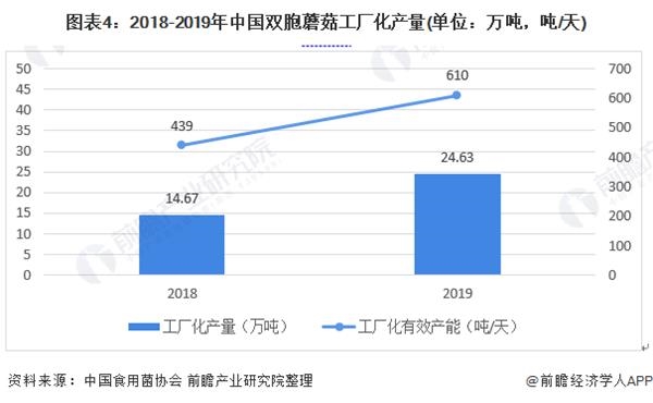图表4:2018-2019年中国双胞蘑菇工厂化产量(单位：万吨，吨/天)