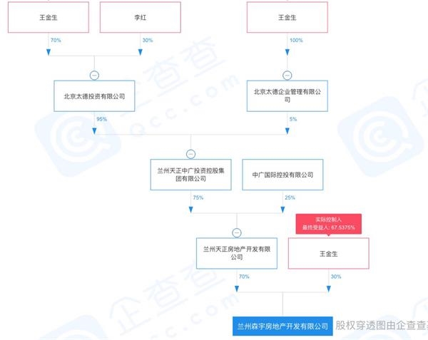 天正中广投资董事长王金生被限制高消费 东方财富网