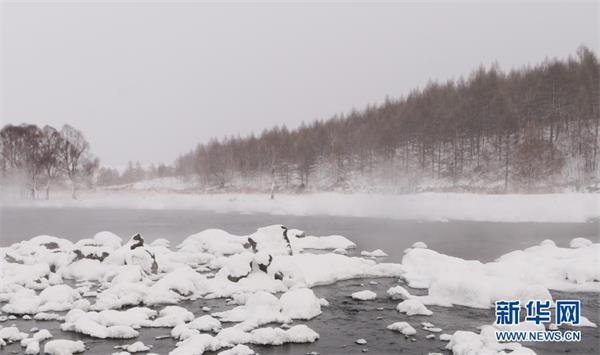 内蒙古阿尔山：“不冻河”景美如画